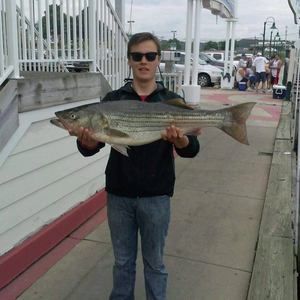 Meet your Posher, Benjamin